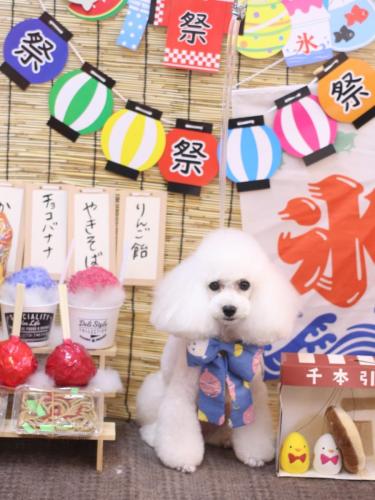 20240718ゆわちゃん